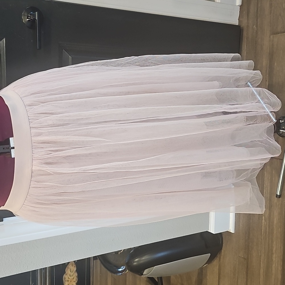 Eesome Blush Tule Skirt